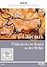 Produktbild Lascaux - Prähistorische Kunst in der Höhle