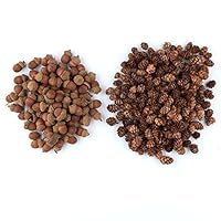 Algopix Similar Product 1 - Factory Direct Craft Autumn Mix of