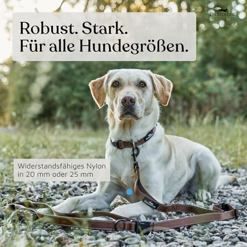 FREUDENTIER Umhängeleine Hund - Hundeleine 3m zum Umhängen, stufenlos verstellbar - Leine für kleine, mittelgroße & große Hunde (Braun, 3m)