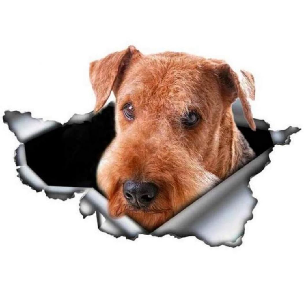 Französische Bulldogge Aufkleber, 3D Zerrissener Effekt, Was