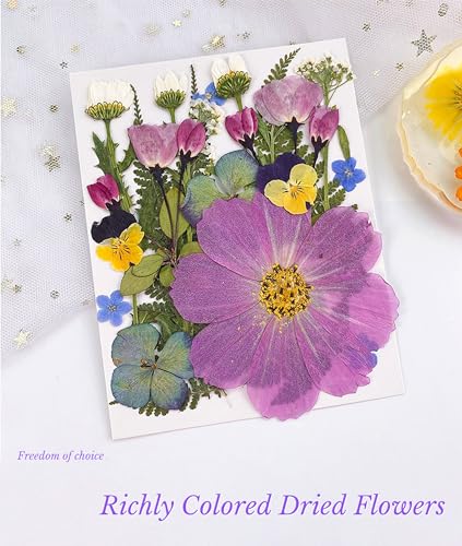 La mejor selección de Hojas secas - los preferidos. 24 Imagen adicional