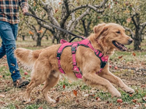 Image of Tuff Pupper Escape Proof No Escape Dog Harness | 5 Point Adjustable Fit Harness for Dogs | Padded Dog Harnesses | Handle Dog Lift Harnesses