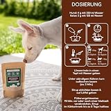 Wolfsbacher Ulmenrinde Pulver für Hunde und Katzen [60g] - Slippery Elm Bark - Amerikanische Ulmenrinde, Unterstützt Magen und Darm auf natürliche Weise