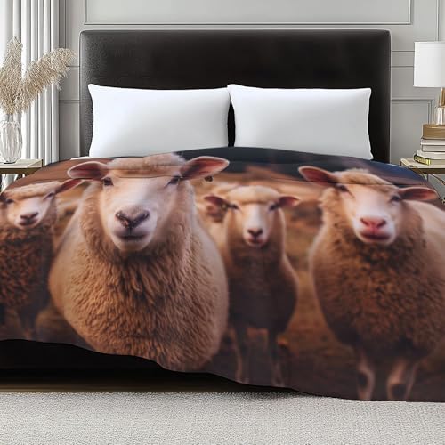 Jeté de canapé microfibre doux imprimé moutons pour vos soirées cocooning