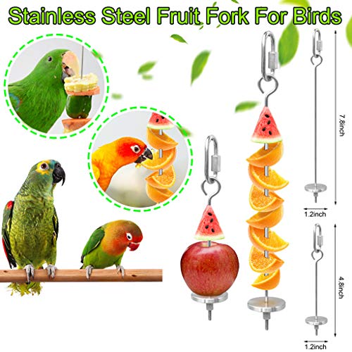 Wpmlady Bird Food Holder, Bird Feeders, Stainless Steel Parrot Fruit Vegetable Stick Holder, Foraging Toy, Bird Treat Skewer, 2 Pack - Thumbnail 5