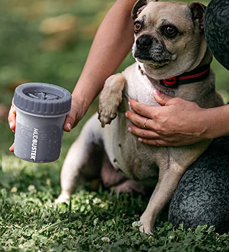 Dexas MudBuster Portable Dog Paw Cleaner, Premium Quality Small Light Gray Pet Accessory - Thumbnail 5