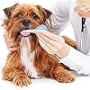 7-Pack-Pet-Supplies-Animal-Kid-Tube-Feeding-Kit-Includes-3-Pack-8-FR-Red-Feeding-Tubes-3-Pack-10-Ml-30-Ml-60-Ml-Syringes-Bulb-Syringe-for-Lamb-Goat-Puppy-Whelping-Kitten-Feeding-Measuring-Watering 3 Pack 8 FR Red Feeding Tubes