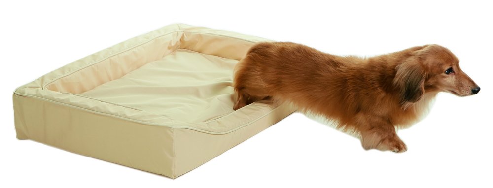 Amazon | 抗菌防臭スマートスクエアベッド 防水 ベージュ S 犬 ベッド