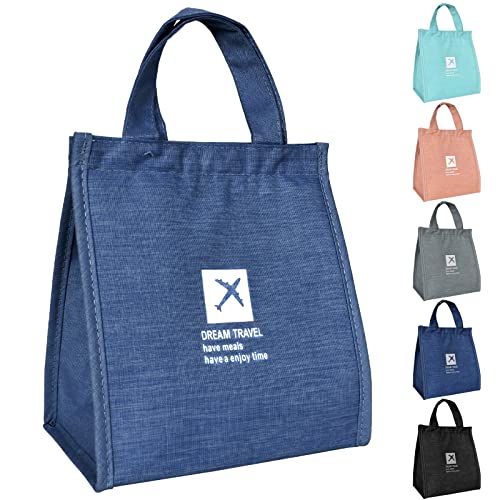 volumoon Bolsa Almuerzo, Bolsa Termica Porta Alimentos, Bolsa de Almuerzo Portátil, Bolsa Isotermica porta Alimentos, Bolsa Comida Trabajo, Bolsa Nevera Pequeña para Niños, Escuela, Picnic (Cian)