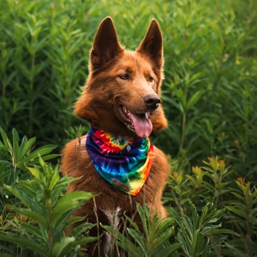 Image of Wilderdog Dog Bandana with Lightweight Quick Drying Poly-Blend Mesh Material in Tiedye