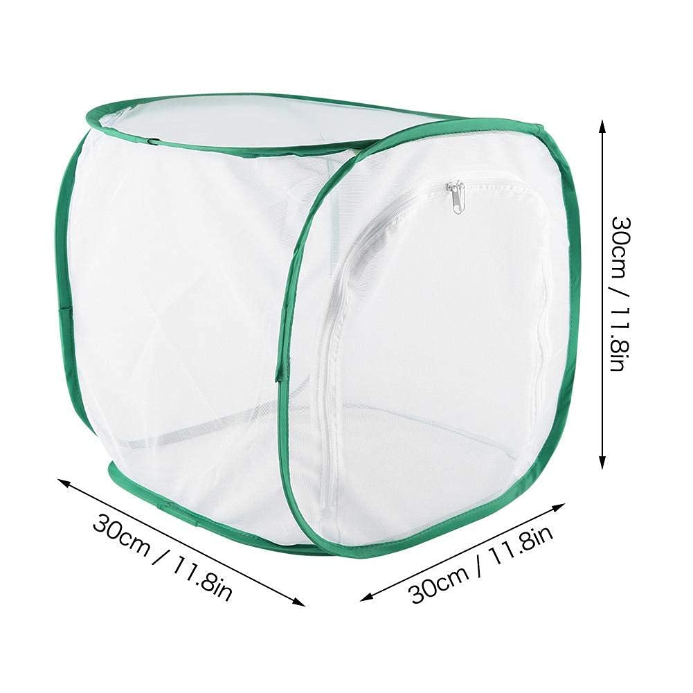Gabbia pieghevole per farfalle 30x30x30 cm Habitat insetti rete cerniera