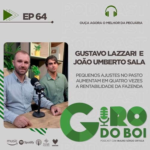 Pequenos ajustes no pasto aumentam em quatro vezes a rentabilidade da fazenda