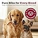 Best Pet Supplies GigaBite Roasted Pig Ears for Dogs - Natural Dog Chews, Roasted Pigs Ears, Safe for Puppies and Aggressive Chewers, Cleans Teeth and Gums - Slivers, 1.8 Pounds