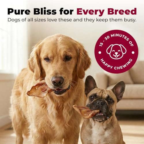 Image of Best Pet Supplies GigaBite Roasted Pig Ear Slivers for Dogs, 1.8 Pounds - Natural Dog Chews that Help Clean Teeth and Gums Safe for Puppies and Aggressive Chewers