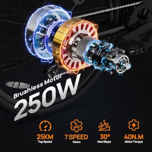 URLIFE E-bicikl za odrasle 26', CityBike izmjenjiva baterija do 80|100KM, električni bicikl od 250 W motor s LCD zaslonom, 7 brzina E-Mountain Bike za muškarce Žene gradske putnike