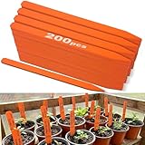 Weysat 200 Pcs 12' Wood Plant Labels for Field or Containers Plant Tags Wood Garden Labels for Seedling Stakes Markers Nursery Seed Tags with Smooth Surface for Pot Herbs Flowers Vegetables (Orange)
