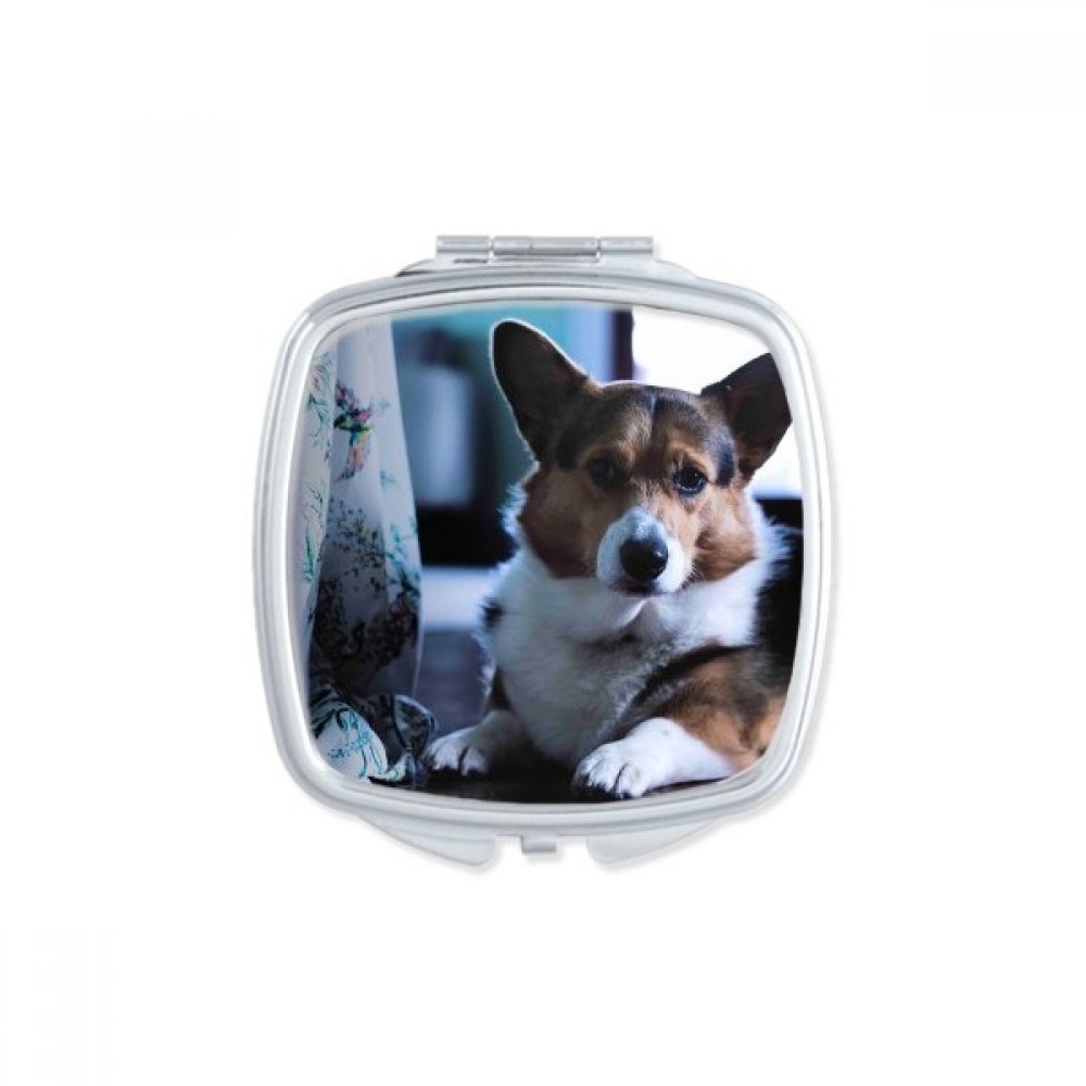 Miroir de poche Pippy Dog mignon cadeau fait main pour anniversaire et fête animaux