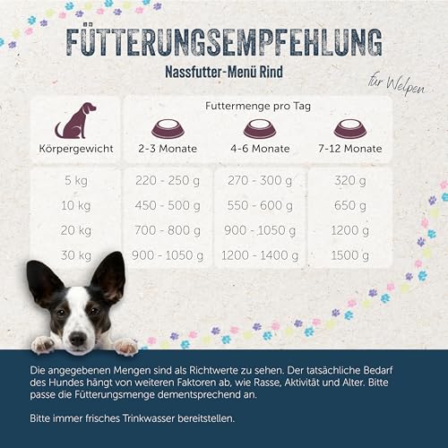 Lakefields Premium Welpenfutter Nass | Rind 61% | 6 x 800g | Getreidefreies Hundefutter für Welpen | Natürliche Zutaten in Lebensmittelqualität | Äpfel, Zucchini & Karotten | Schonend gegart