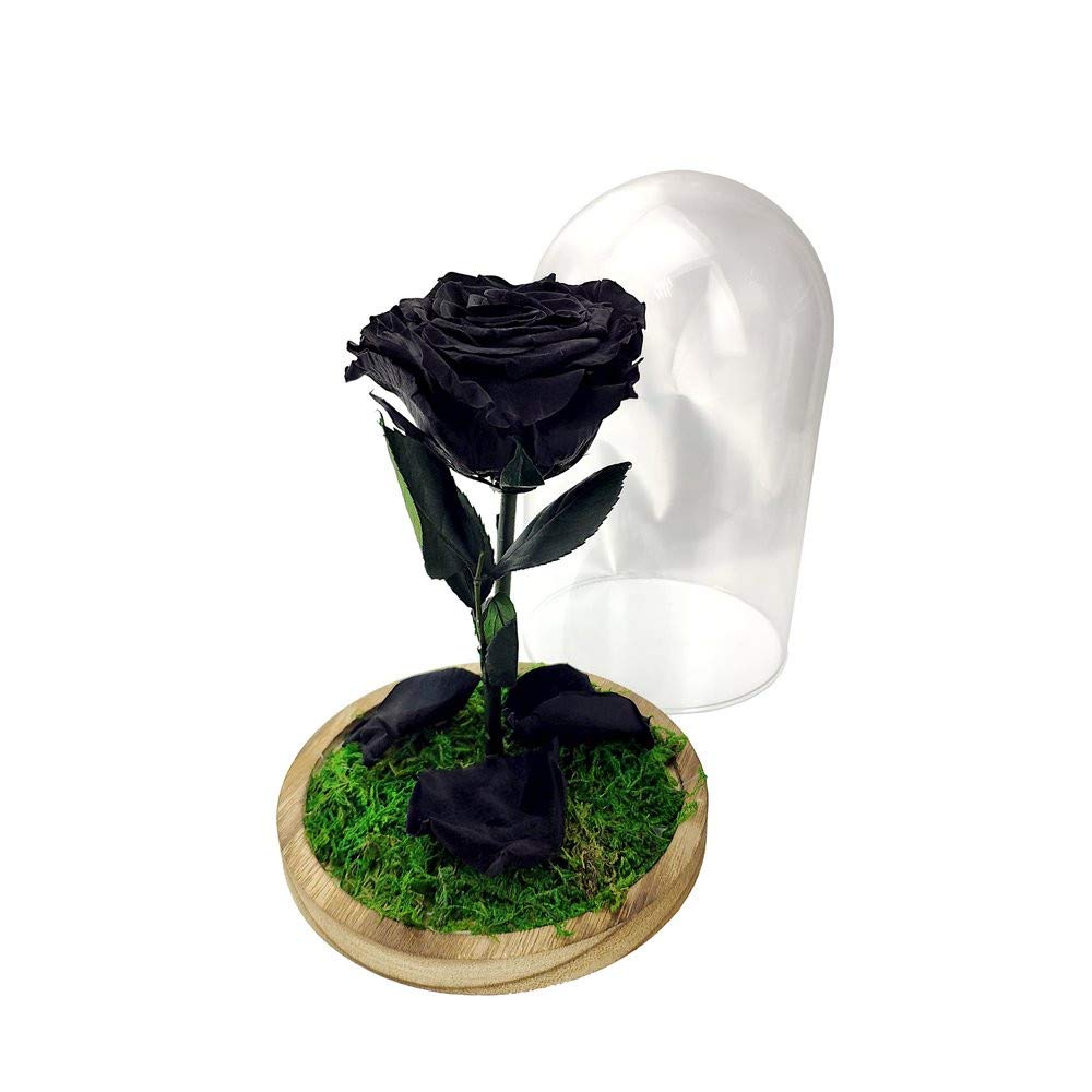 Mundo Eterno| Rosa Preservada Negra en Cúpula de Cristal | Rosa Eterna Natural | Regalo Original | 22x12 cm