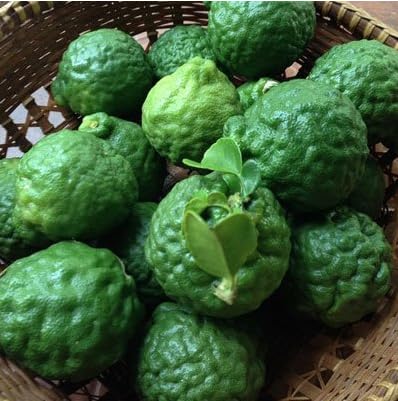 Fresh Kaffir Lime Fruit 0.5 Lb with 25 Leaves