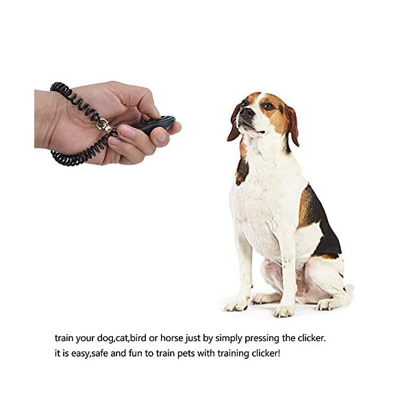 Txibi 2Pack Pet Dog Training Clicker with Wrist Strap – Durable Lightweight Easy to Use Pet Clickers for Cats Puppy Birds Horses (Blue + White) Txibi 2Pack Pet Dog Training Clicker with Wrist Strap – Durable Lightweight Easy to Use Pet Clickers for Cats Puppy Birds Horses (Blue + White)