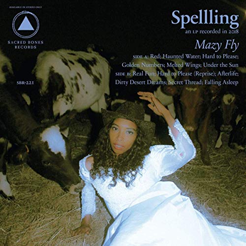 Mazy Fly [Disco de Vinil]