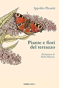 Piante e fiori del terrazzo