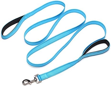 WZPB Training Long Nylon Dog Leash Heavy Duty Reflective Dog Leash with Extra Long 8FT- Premium Nylon Leash with Dual Soft and Thick Padded Handles, Perfect for Small to Large Dogs