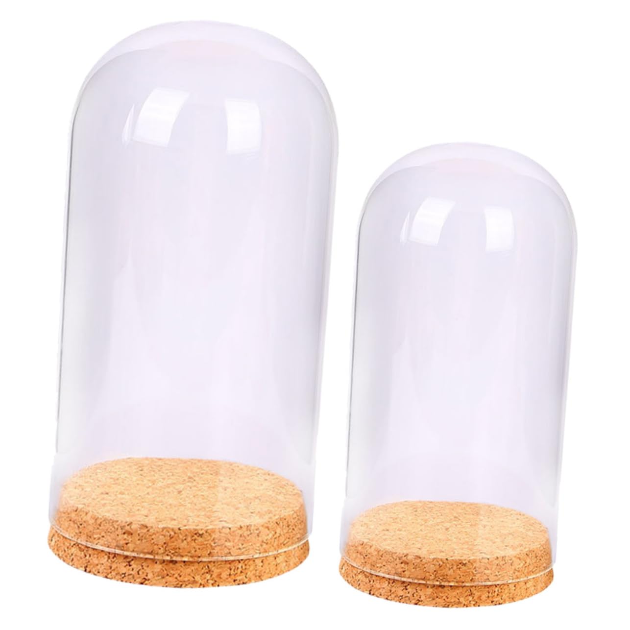 2 piezas de cubierta de vidrio de flores conservadas, jarrones florales, contenedores de plantas, mini soporte for cupcakes, cubierta for plato de pastel, mini cúpula for pastel, mini soporte for past