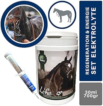 elettrolita per cavalli