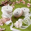 Berwick Offray 147151 5/8" Wide Satin and Sheer Craft and Decorative Ribbon, 9-Foot Spool, Light Pink and Opal #1