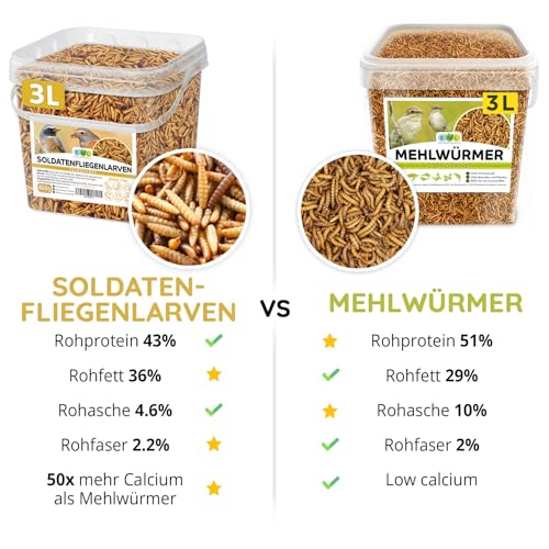 EWL Naturprodukte Soldatenfliegenlarven getrocknet 3 L (460 g), Premium Insektensnack Vögel, Fische, Schildkröten, Nager, Reptilien, Vogelfutter, Wildvögel, Ganzjährig Eichhörnchenfutter, Igelfutter