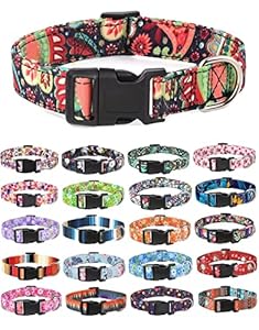 Moonpet Hundehalsband Klassisch Design