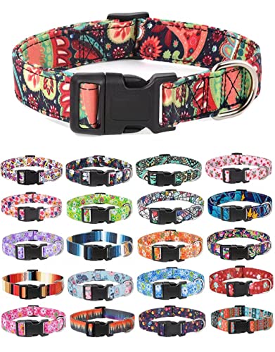 Moonpet Hundehalsband Klassisch Design