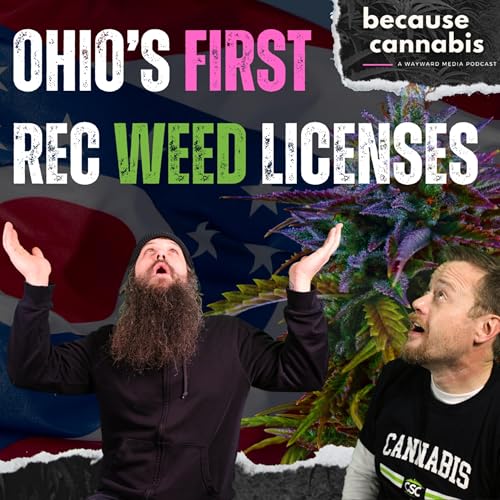 Ohio approves recreational licenses for marijuana sales