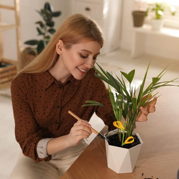 Miniatura 6 de 30 trampas para moscas de la fruta para interiores, trampas adhesivas amarillas para interiores de la casa, trampas adhesivas amarillas para