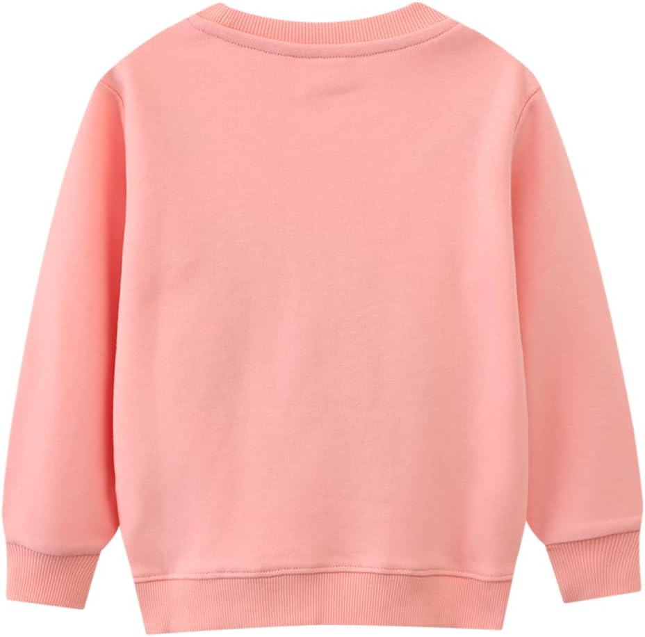 Little Girls Sweatshirts Cotton Long Sleeve Crewneck Pullover Toddler Kids Winter Warm Shirt Sweater Tops 2t-8t - Image 6