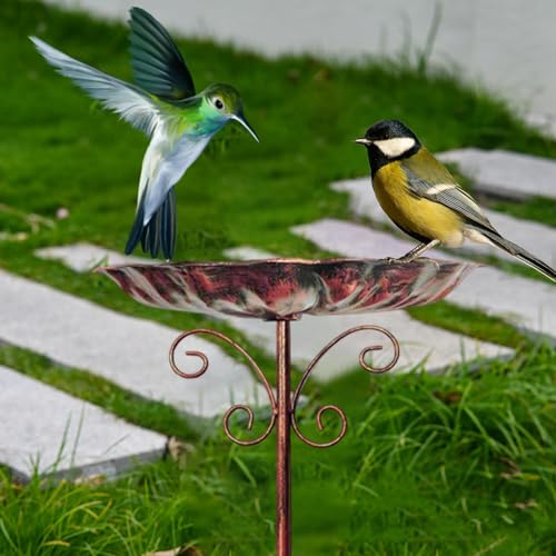 Bain d'oiseaux décoratif résistant au vent abreuvoir stable pour jardin