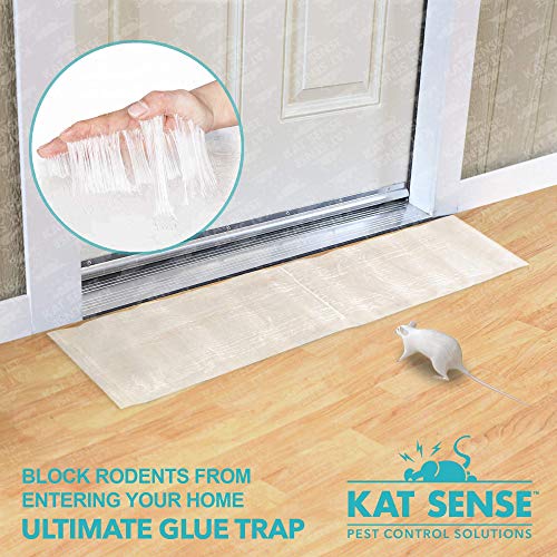 Kat Sense Mouse Traps & Sticky Rat Traps Bundle, Reusable Humane Instant Kill Trap That Works, (2 Large Heavy Duty Clear Pre Baited Mats + Pack Of 8 No See Kill Mice Traps) #TOP7