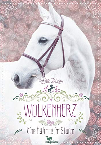 Giebken, S: Wolkenherz 2. Eine Fährte im Sturm