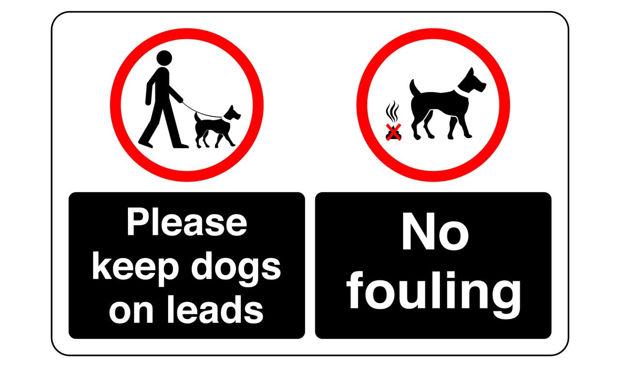 Safety First Display Ltd Black Please Keep Dogs On Lead No Fouling Safety Sign - High Tack Self-Adhesive Sticker (300Mm X 200Mm) Viewing Distance Within 7M.
