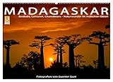MADAGASKAR: Naturwunder im Indischen Ozean (Wandkalender 2023 DIN A2 quer), Calvendo Monatskalender - Guenter Guni 