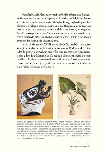 Uma história das florestas brasileiras