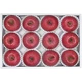 冬の贈り物お歳暮 青森県産 福ちゃんりんご ダイワ果園 青森県産りんご約2.5kg（8～12玉）