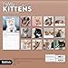 2026 Cuddly Kittens Wall Calendar