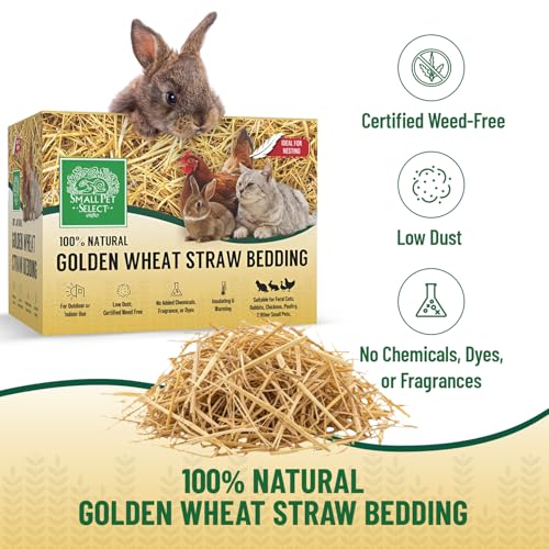Small Pet Select - Golden Wheat Straw Bedding, 100% Natural Plant Material, Soft Animal Bedding Litter with Odor Control for, Rabbit, Hamster, or Bunny, Habitat Accessories, Made in USA, 8lb - Image 3