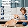 Collier de Dressage pour Chien avec Télécommande - Rechargeable et Humain : 4 Modes de Correction (Bip, Vibration, Spray, Spray Renforcé), Étanche IP67 avec Verrouillage Sécurité - Vert Foncé