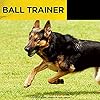 Dogtra-Ball-Trainer-Replaceable-Battery-100-Yard-Dual-Function-LauncherDropper-for-Immediate-Reward-Training Dogtra Ball Trainer