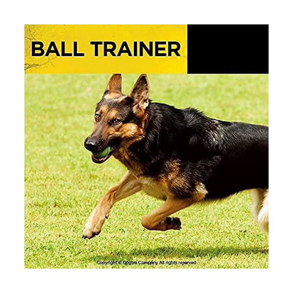 Dogtra-Ball-Trainer-Replaceable-Battery-100-Yard-Dual-Function-LauncherDropper-for-Immediate-Reward-Training Dogtra Ball Trainer