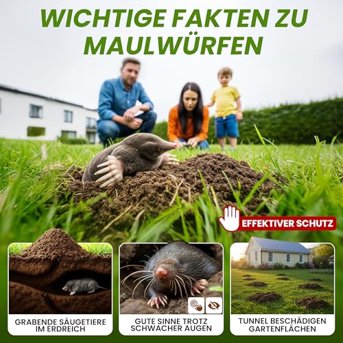 Momii Maulwurf Vertreiber-Kugeln mit Sofort- und Langzeitwirkung effektives Mittel gegen Maulwürfe 1 (I Stück)